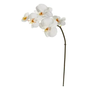 20" Phalaenopsis Orchid Artificial Flower (Set of 12)