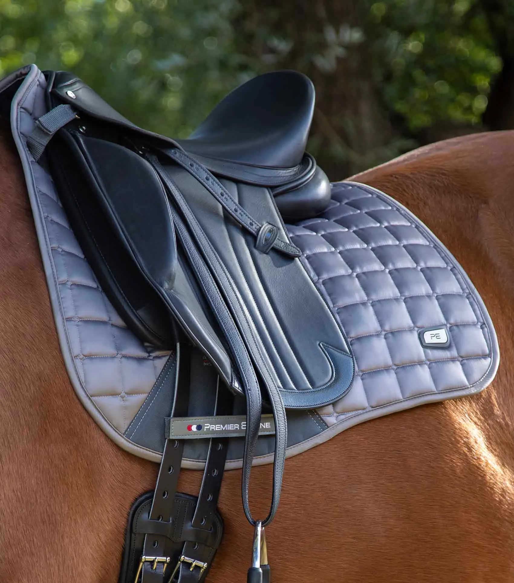 Alberta CC Satin Dressage Square Grey