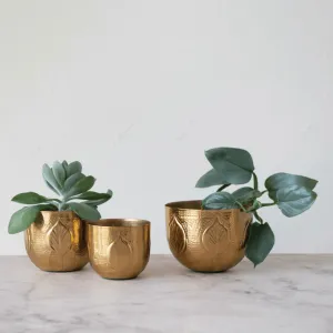 Debossed Metal Planter - Medium