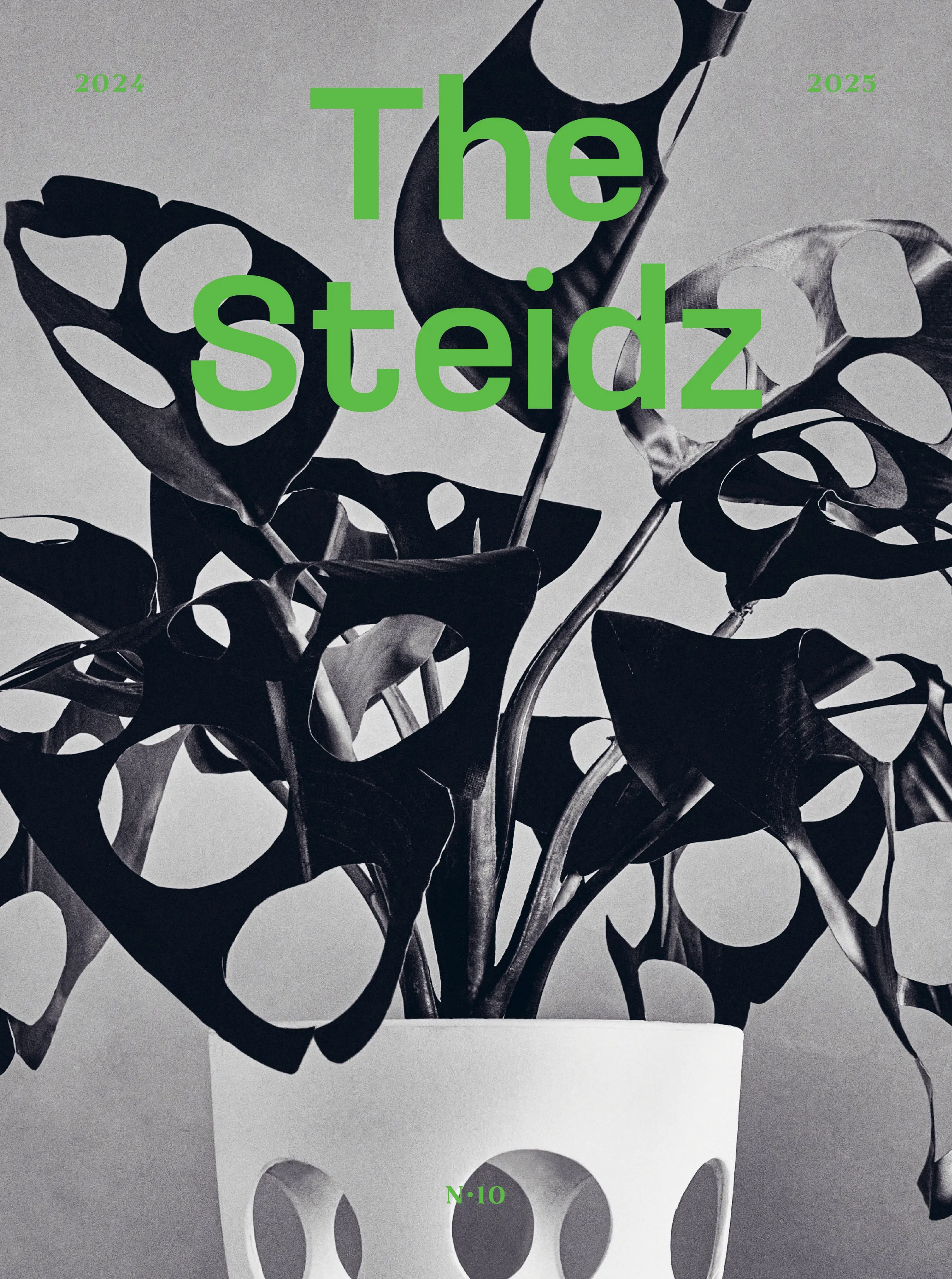 The Steidz #10