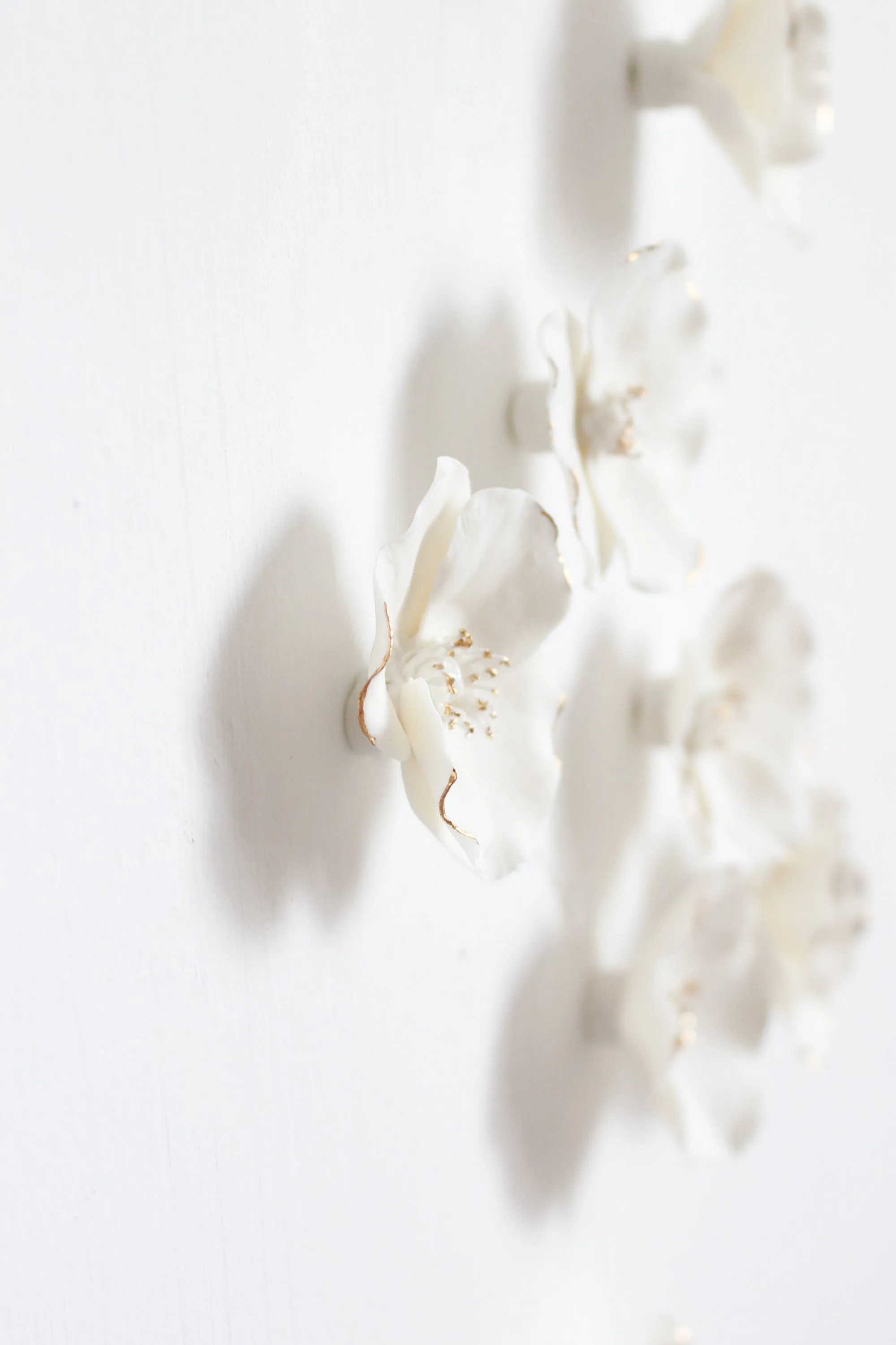 White & Gold Poppies